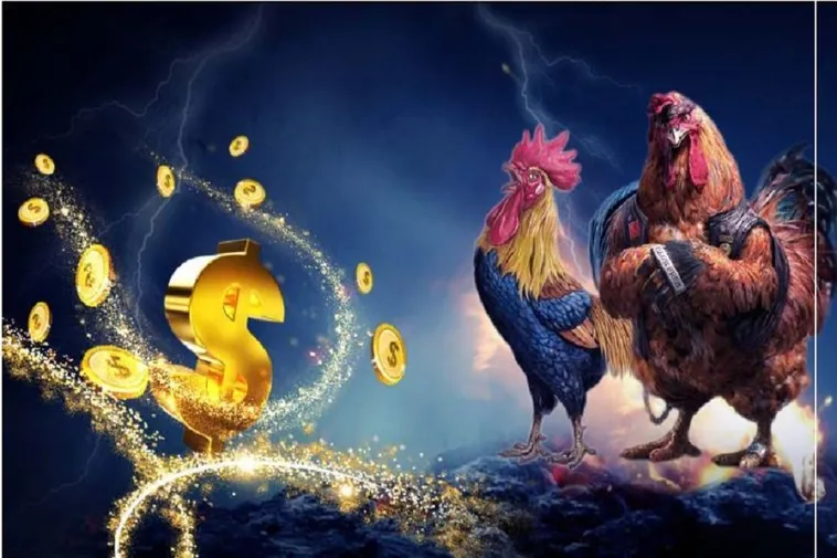 Đá Gà 98WIN: Trải Nghiệm Cá Cược Đỉnh Cao Tại Việt Nam 1 Đá Gà 98WIN: Trải Nghiệm Cá Cược Đỉnh Cao Tại Việt Nam