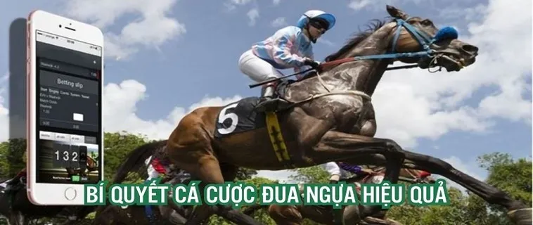 Tìm Hiểu Cá Cược Đua Ngựa 98WIN: Đánh Giá Chi Tiết 2 Tìm Hiểu Cá Cược Đua Ngựa 98WIN: Đánh Giá Chi Tiết